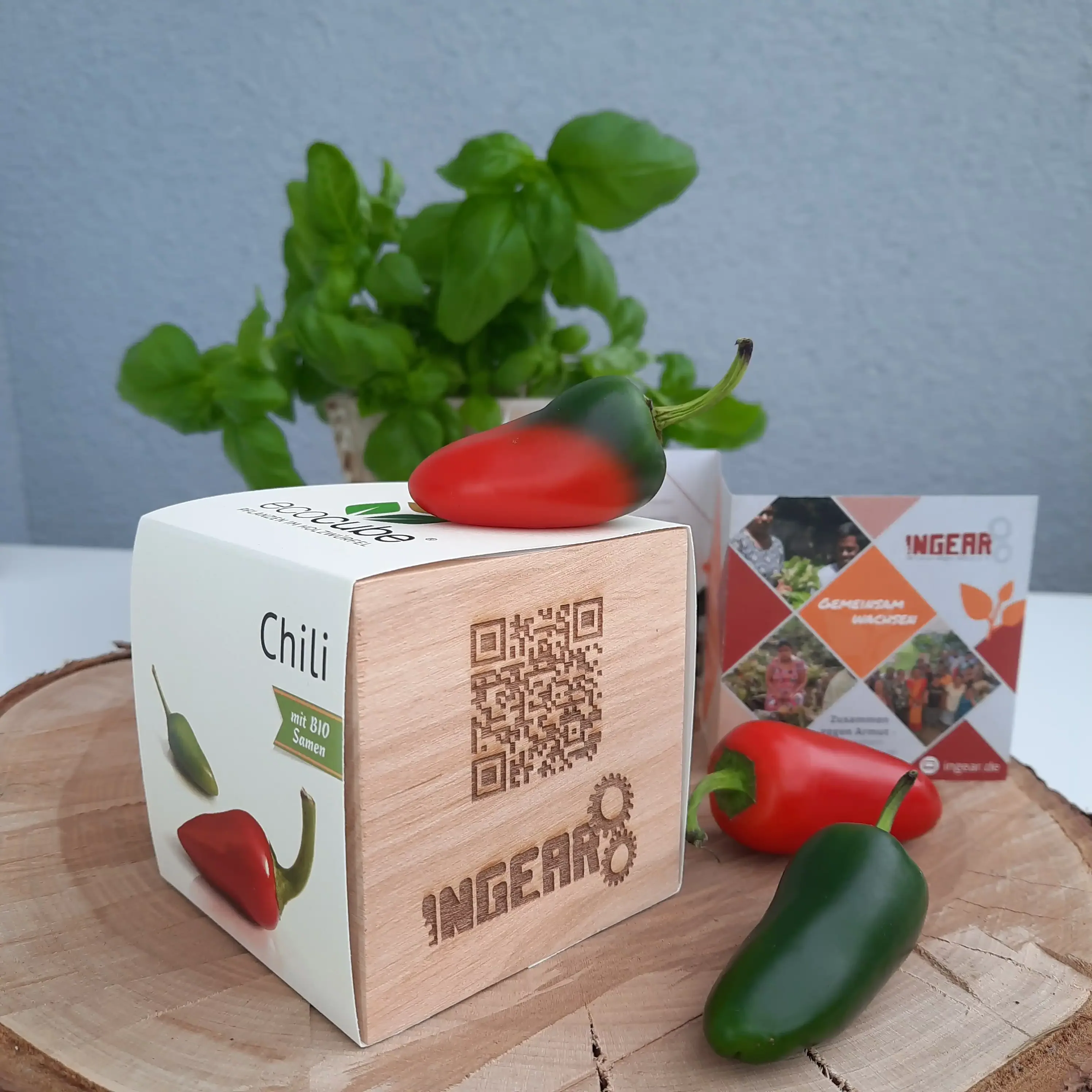 INGEAR-Bio-Chiliwürfel aus Holz